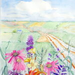 Iowa Flowers by Phyllis J. Lance
