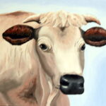White Cow by Julia DeValk