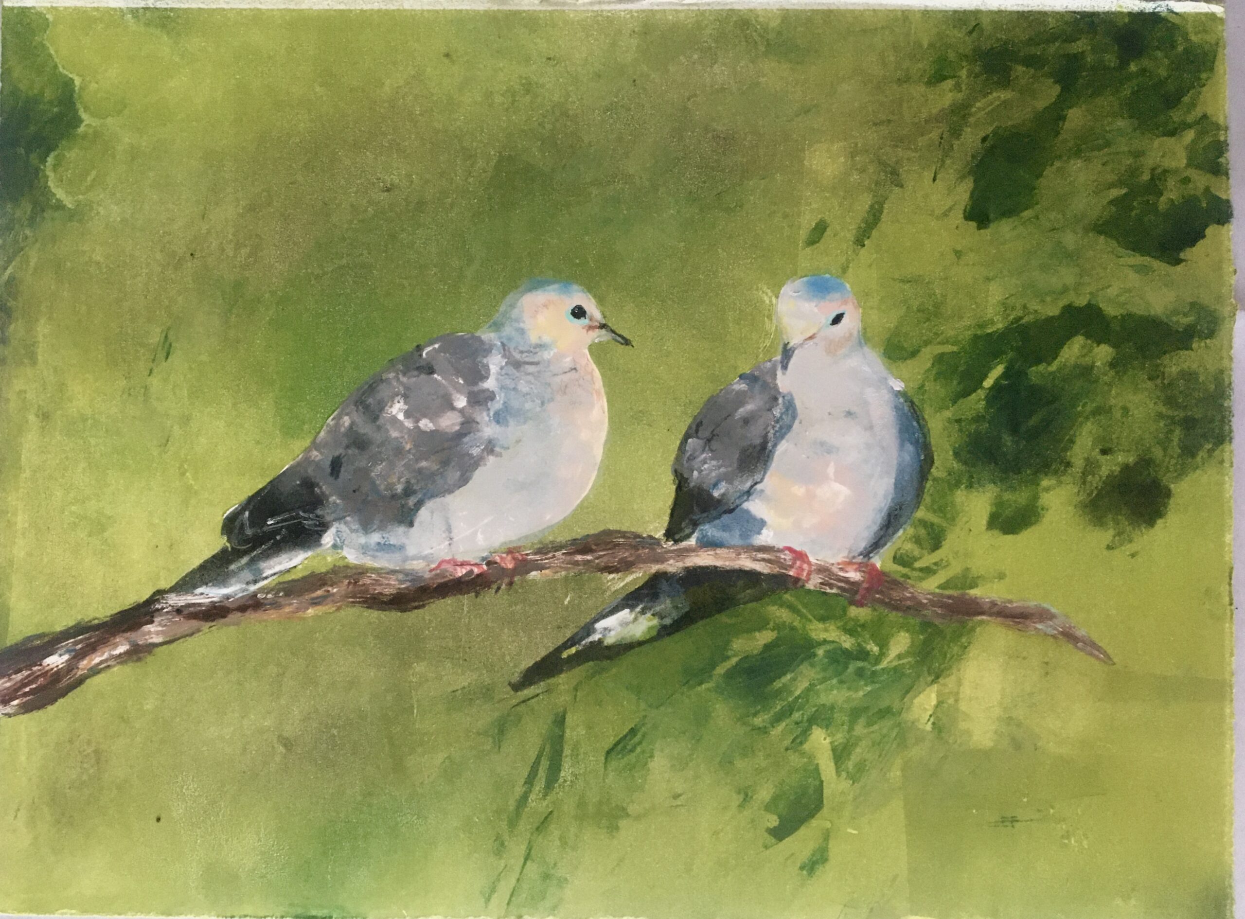 Mourning Dove Pair